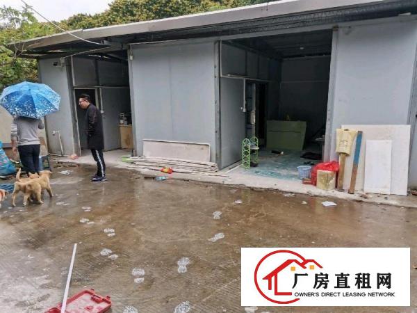  临深片区黄江，独门独院，可做污染，原房东