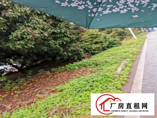  临深片区黄江，独门独院，可做污染，原房东