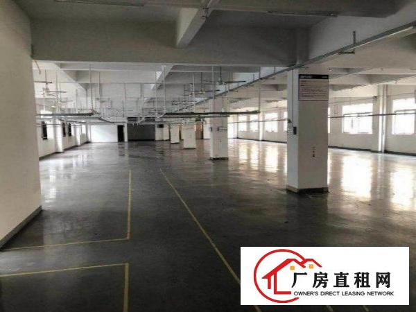  龙见田原房东独院厂房，一栋两层3600平方米出租
