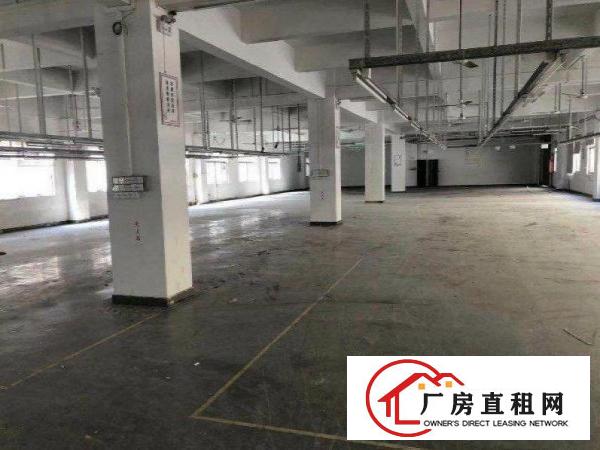  龙见田原房东独院厂房，一栋两层3600平方米出租