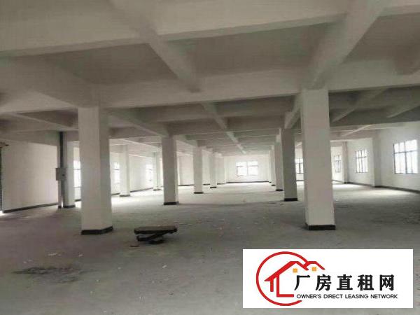  社贝原房东出标准厂房三层面积共3300平方，空地超大