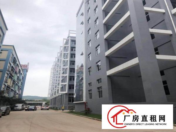  房东红本科技园区10元厂房出租