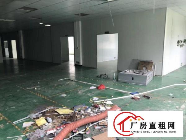  黄江成熟工业园内分租豪华装修800平