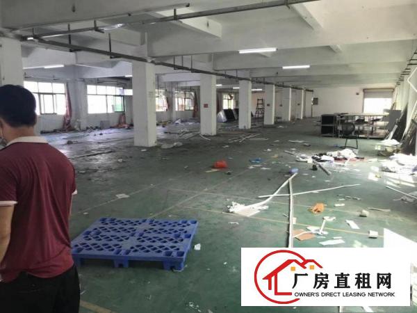  黄江成熟工业园内分租豪华装修800平