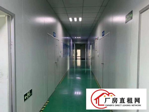  13元二楼地平漆加豪华办公室装修厂房转租