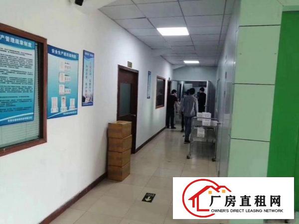  口罩厂福音！无尘车间