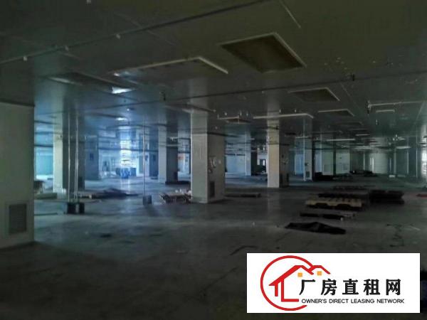  黄江靠近公明主干道旁大型重工业厂房79800平方无公摊出租