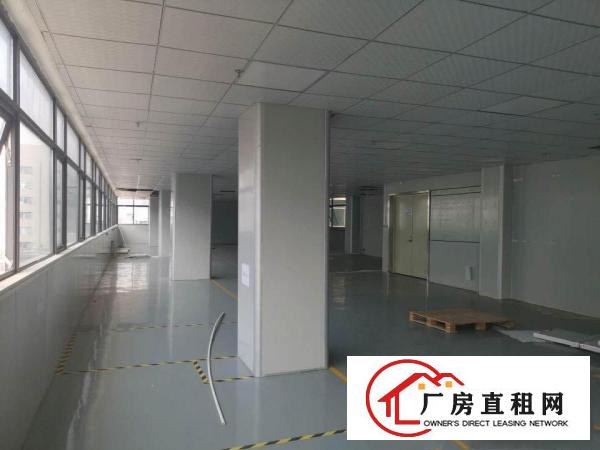  出租黄江镇北岸社区内无尘车间合适口罩、电子等生产