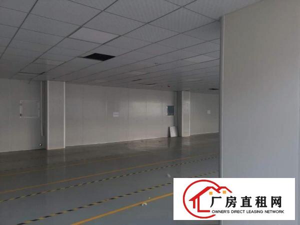  出租黄江镇北岸社区内无尘车间合适口罩、电子等生产