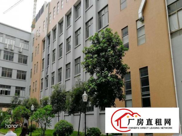  黄江北岸成熟工业区原房东红本厂房40000平出租