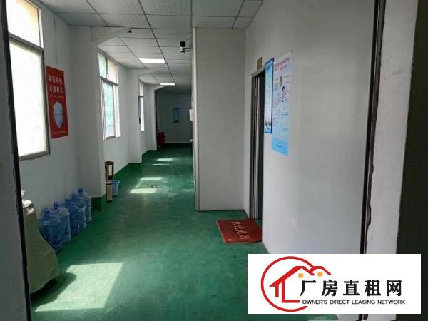  黄江北岸村新出带装修干级无尘车间1200平方，三楼厂房出租，