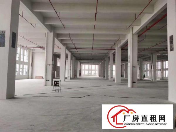  黄江胜前岗新出厂房2300平方出租