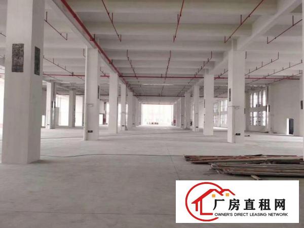  黄江胜前岗新出厂房2300平方出租