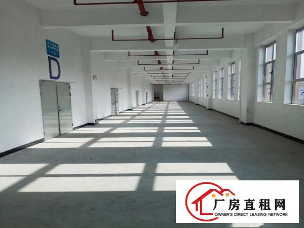  黄江新出靓高大上独院12000平方厂房出租