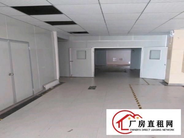  出租375平方精装修无尘车间，无公摊，深圳过来个红绿灯，