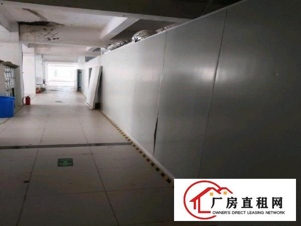  出租375平方精装修无尘车间，无公摊，深圳过来个红绿灯，