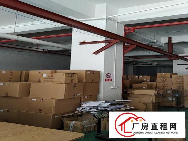 黄江一楼已装修厂房带行车带办公室