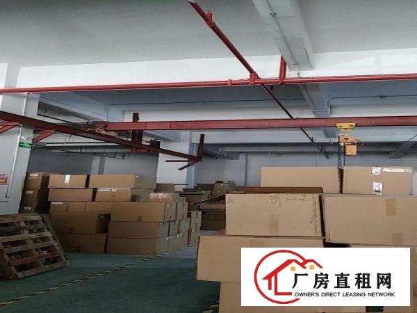  黄江一楼已装修厂房带行车带办公室