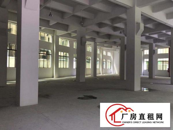  楼层:6m租金:24元