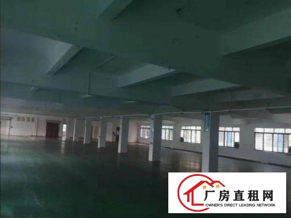  黄江镇袁屋围带地坪漆标准独院厂房800平方出租