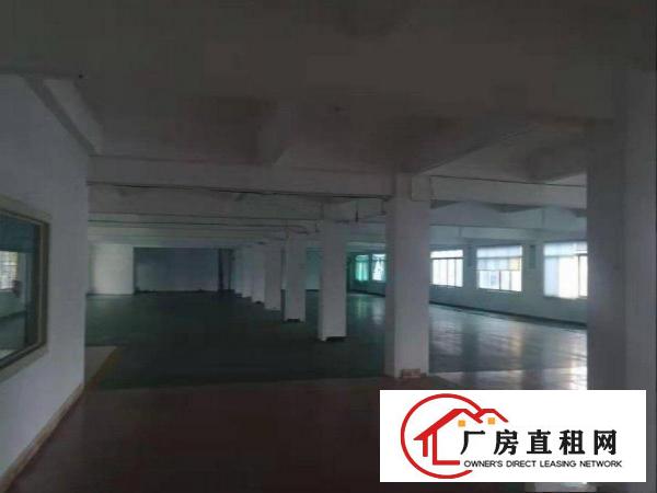  黄江镇袁屋围带地坪漆标准独院厂房800平方出租