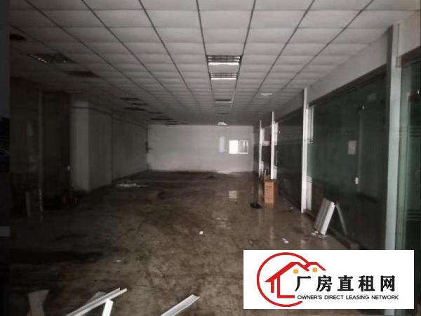  出租黄江镇龙见田新出一楼厂房1200平，租金便宜，无公摊原房