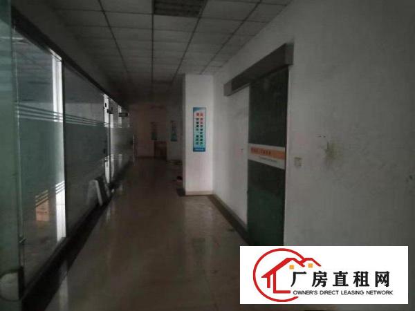  出租黄江镇龙见田新出一楼厂房1200平，租金便宜，无公摊原房
