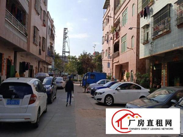  黄江镇大冚村一楼仓库整层招租100平方