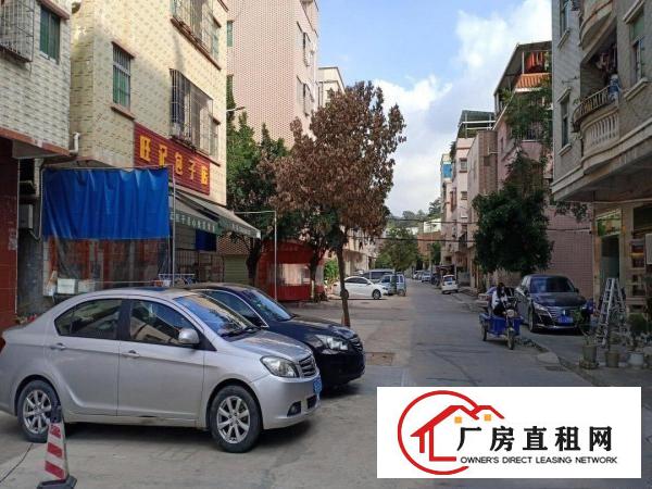  黄江镇大冚村一楼仓库整层招租100平方