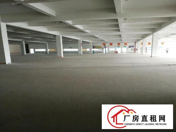  东莞市黄江镇靠近公明整层面聊6375平的厂房