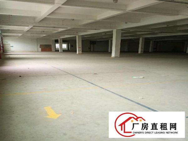  东莞市黄江镇靠近公明整层面聊6375平的厂房