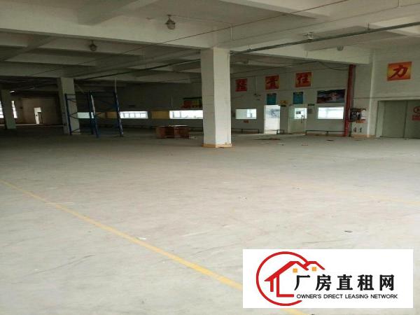  东莞市黄江镇靠近公明整层面聊6375平的厂房
