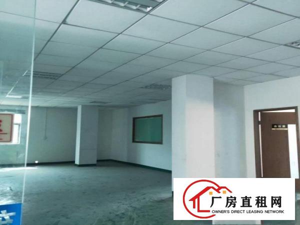  地址公常路楼层高度3m左右价格优惠