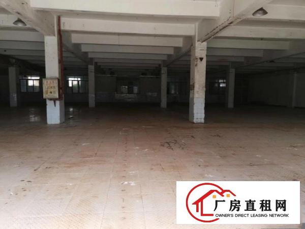  黄江长龙新出独院4800平方厂房出租