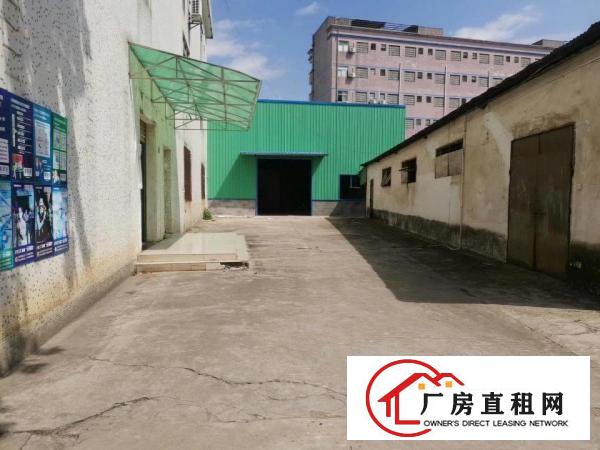  黄江长龙新出独院4800平方厂房出租