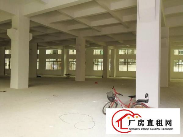  黄江全新工业园23000平米大小分租