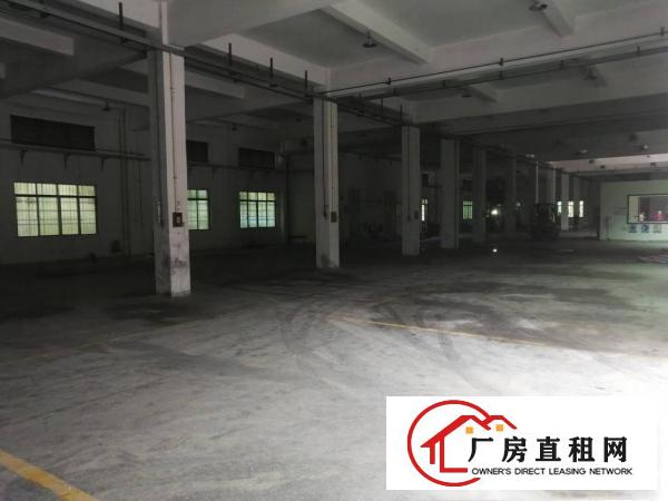  黄江全新工业园23000平米大小分租