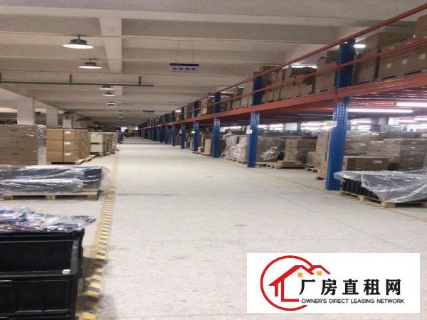  大朗独门独院24000平方单一层标准厂房