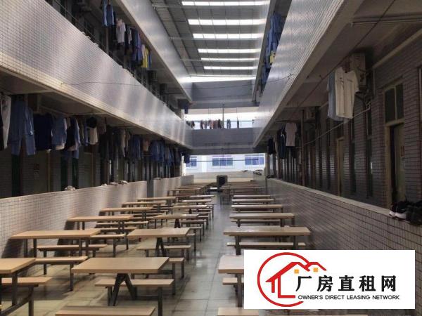  大朗独门独院24000平方单一层标准厂房