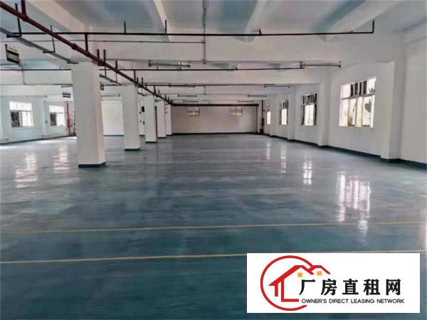  五金塑胶厂分租标准工业园一二楼，每层1000方，黄江田心村