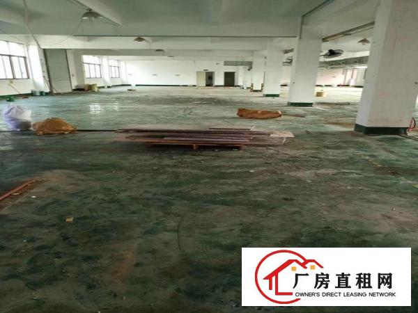  黄江镇黄江村新出厂房1800平方米出租