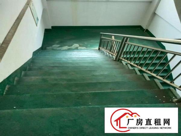  黄江镇黄江村新出厂房1800平方米出租