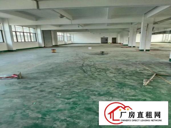 黄江镇黄江村新出厂房1800平方米出租