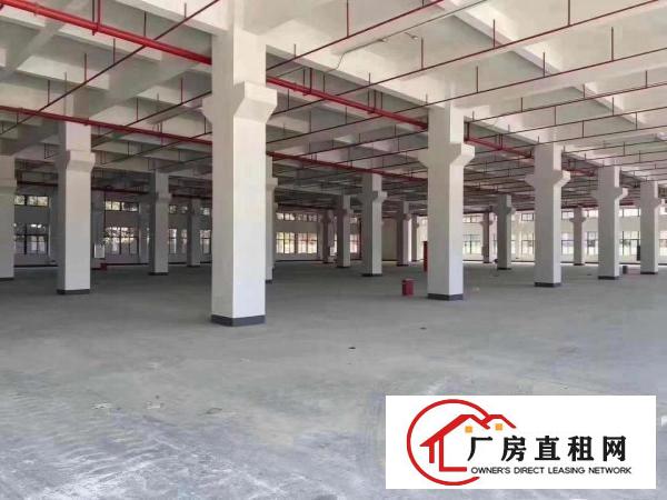  黄江胜前岗新出国有土地带消防33000平方厂房出租