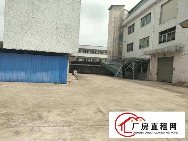  黄江社贝村原房东独门独院5200平方