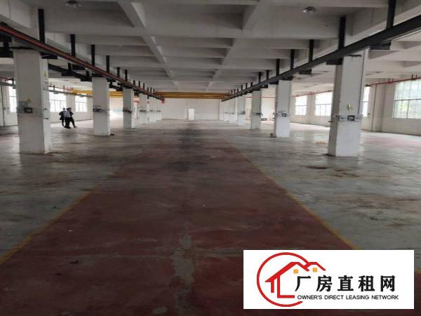  黄江镇独院分租一楼一层2000平方出租带现成行车