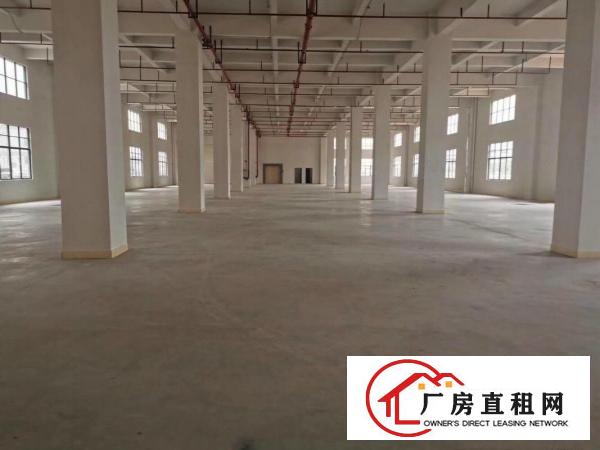  黄江合路一楼1000平精装可分租