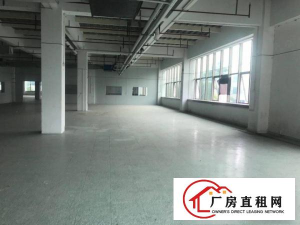  黄江镇红本花园式厂房30000平方米厂房出租1000平起分租