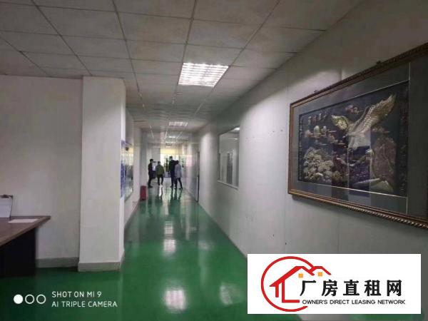  黄江镇红本花园式厂房30000平方米厂房出租1000平起分租