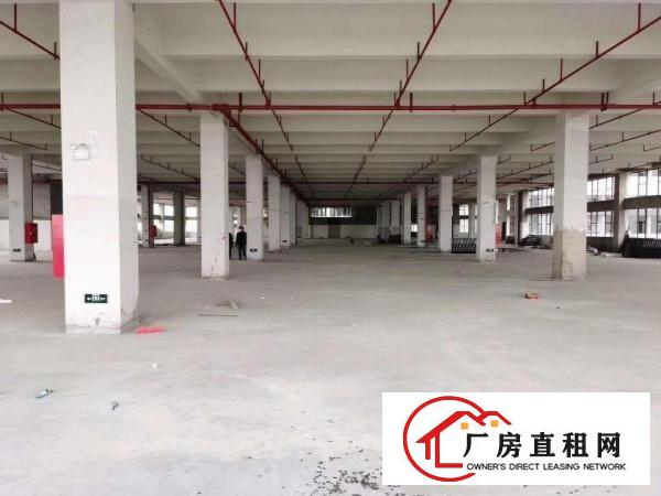  黄江镇星光村新出大型工业园75000平方厂房出租